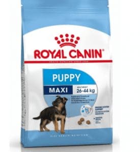 Royal Canin Shn Maxi Junior Büyük Irk Yavru Köpek Maması