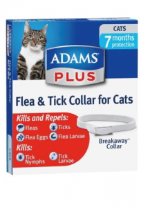 Adams – Kedi Pire Tasması