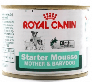 Royal Canin – Starter Anne ve Yavru Köpek Konservesi