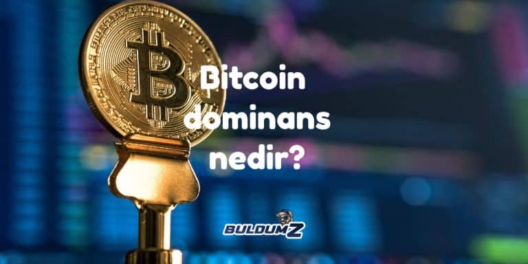 bitcoin dominans nedir